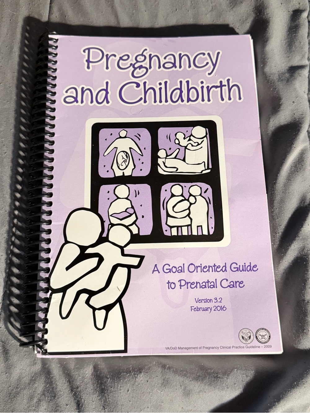 Pregnancy and Childbirth Prenatal Guide - Lavender